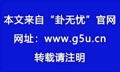 1982年属|1982年属什么生肖的命 1982年属狗是什么命